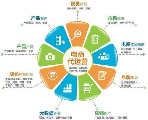 新創電子 安陽淘寶代運營與電商幫運營的完美結合