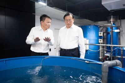 王忠林調研民營企業發展并召開座談會 深化技術推廣服務，激發民營經濟新動能