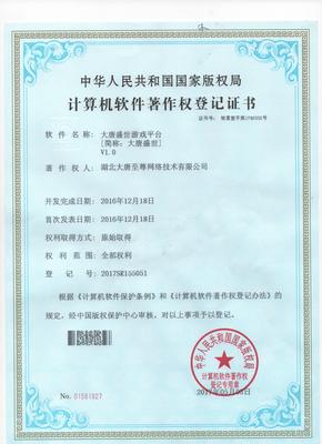 湖北大唐至尊網絡技術 解放號平臺上的專業網絡技術服務商檔案