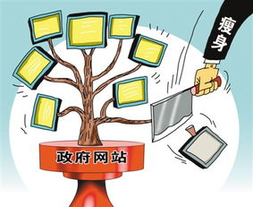 北京政府網站減至80多家 精簡歸并，服務如何更高效？