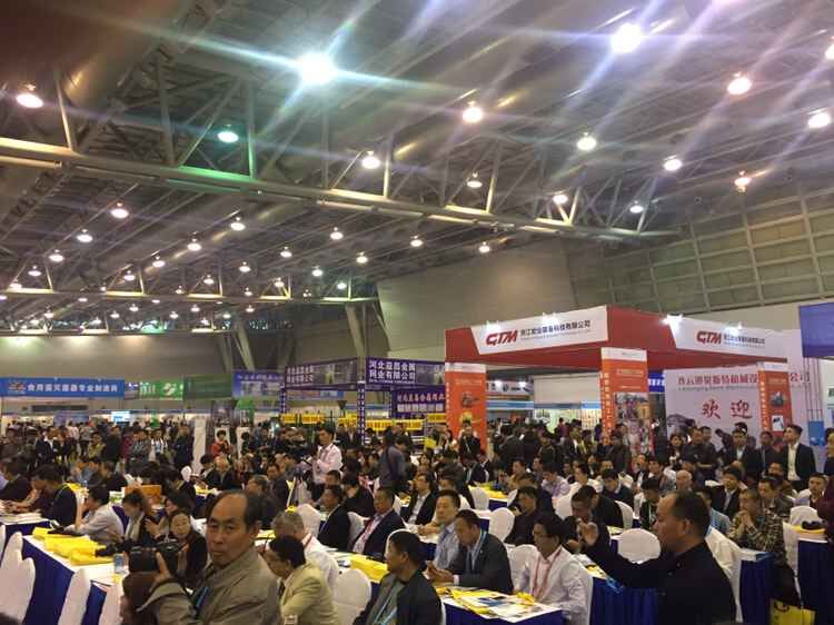 聚焦創新與交流 2016中國（合肥）國際食用菌博覽會圓滿收官_央廣網攝影攝像服務記錄產業盛況